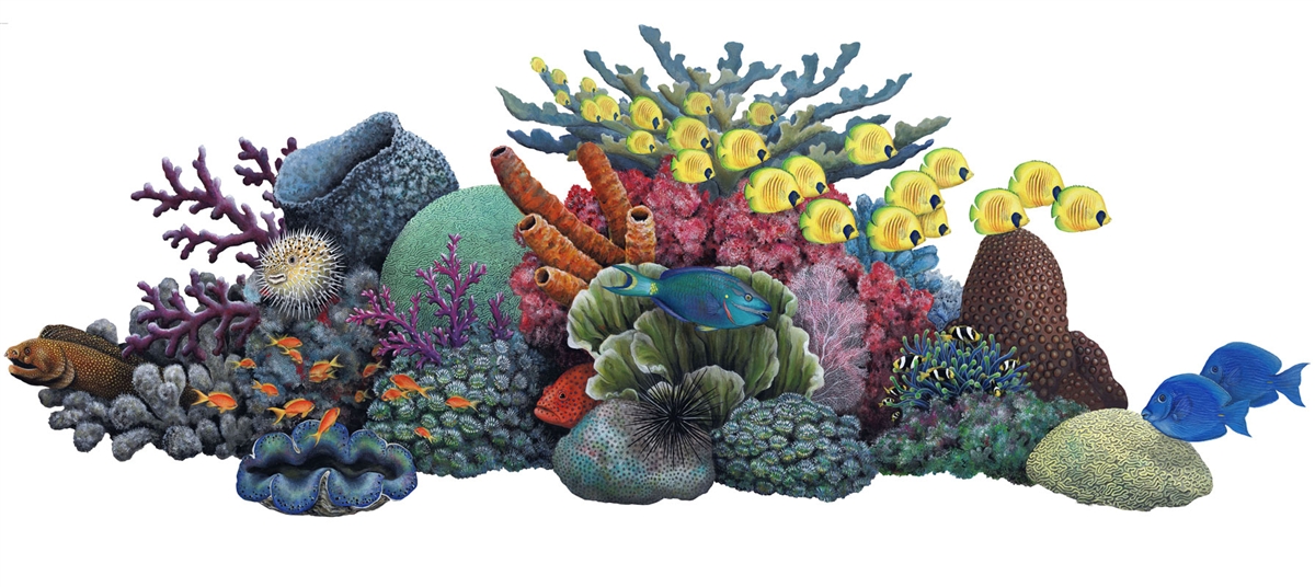 Free Coral Reef Cliparts, Download Free Coral Reef Cliparts png images