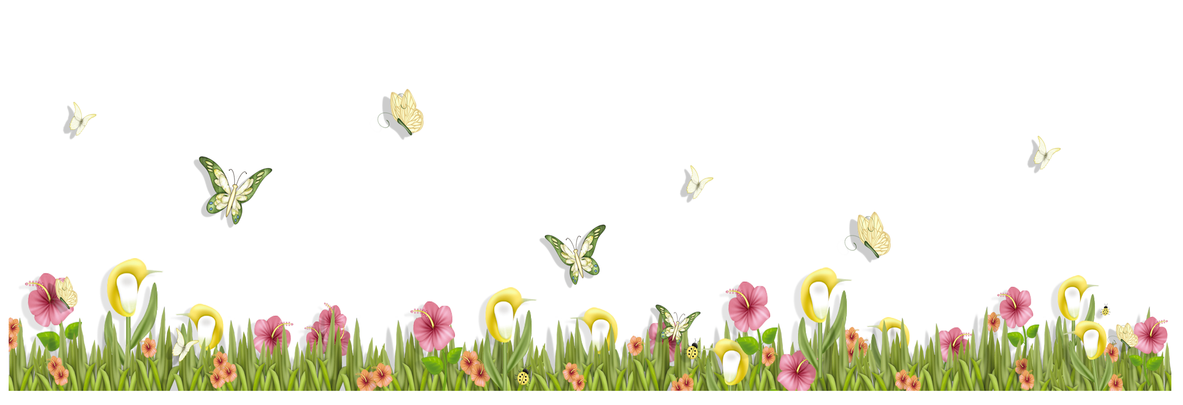 Grass with Butterflies and Flowers PNG Clipart