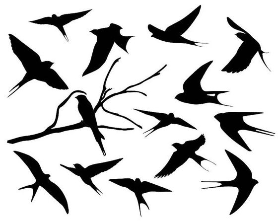 Swallow Silhouette Clipart, Bird Silhouette Clipart, Swallow Clip 