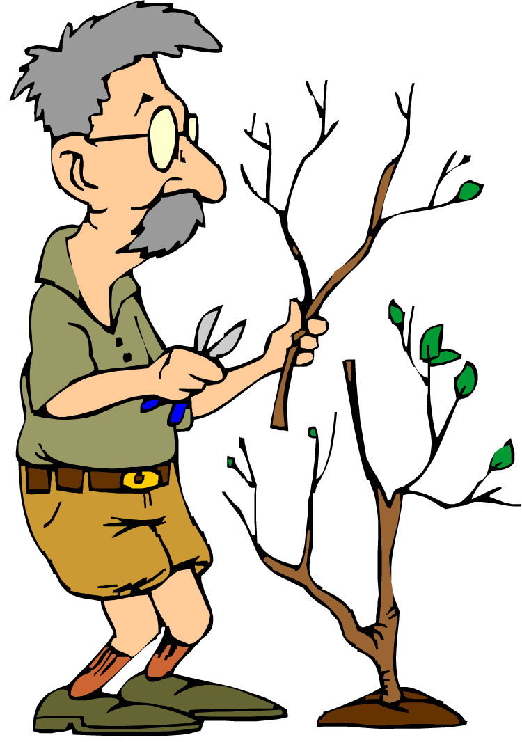 Tree Removal Service Clipart