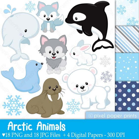 free clipart arctic animals - Clip Art Library