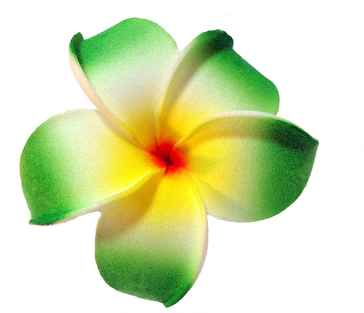 Free Plumeria Cliparts, Download Free Plumeria Cliparts png images