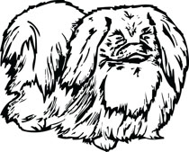 Pekingese Dog Breed Pet Clip Art For Custom Gifts  Products