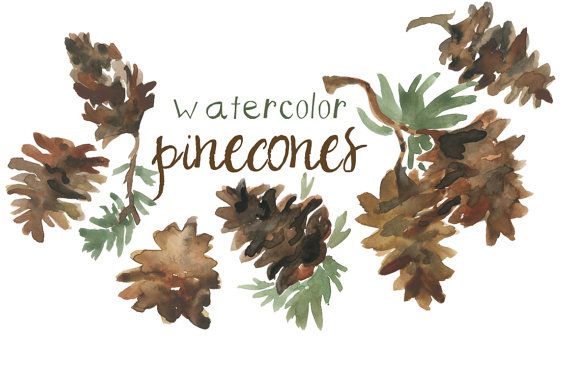 Watercolor Pinecone Clip Art for Scrapbooking Holiday Season Pine