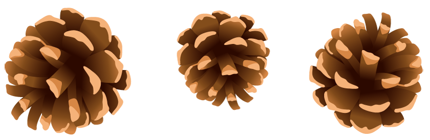 Pine Cones PNG Clipart