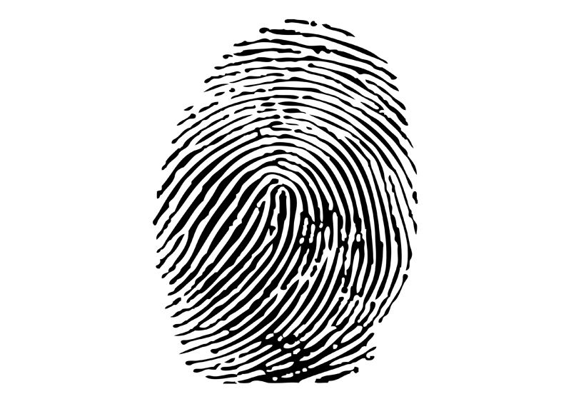 Fingerprint Vector Free