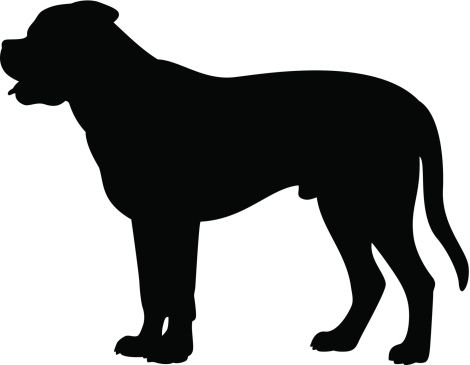 english mastiff clipart