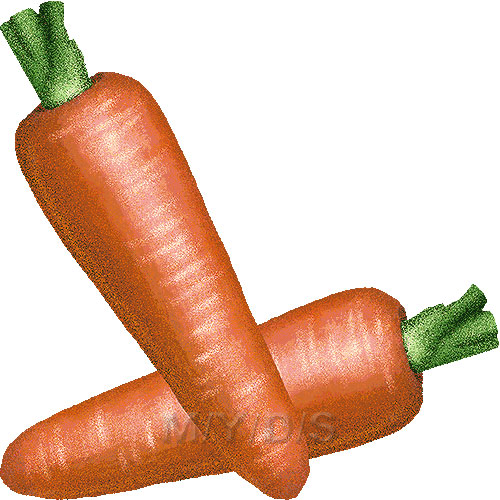 Carrot clipart / Free clip art