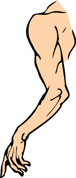 Arm Clip Art 