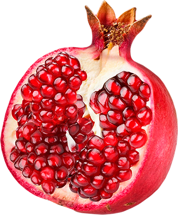 Pomegranate PNG image free download