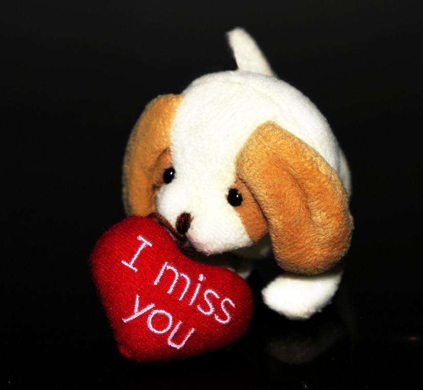 free clipart images i miss you