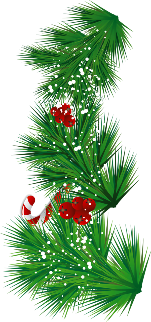 Transparent Pine Branch with Candy Cane and Mistletoe PNG Clipart