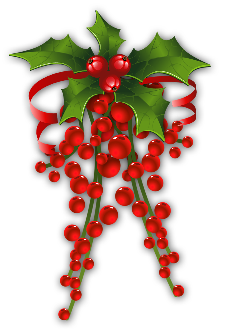 Forget Link This Page For Attribution Mistletoe Transparent