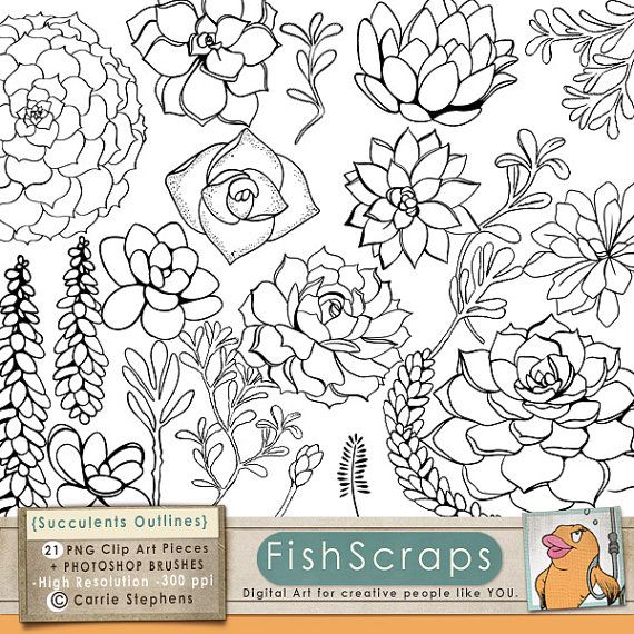 Featured image of post Outline Succulent Plant Clipart Clipart clip art vector png graphic cactus cacti succulent succulents plant