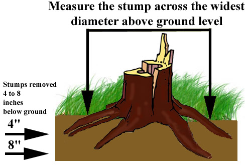 Free Stump Grinding Cliparts, Download Free Stump Grinding Cliparts png