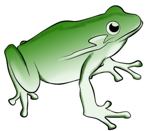Jumping Frog Clip Art