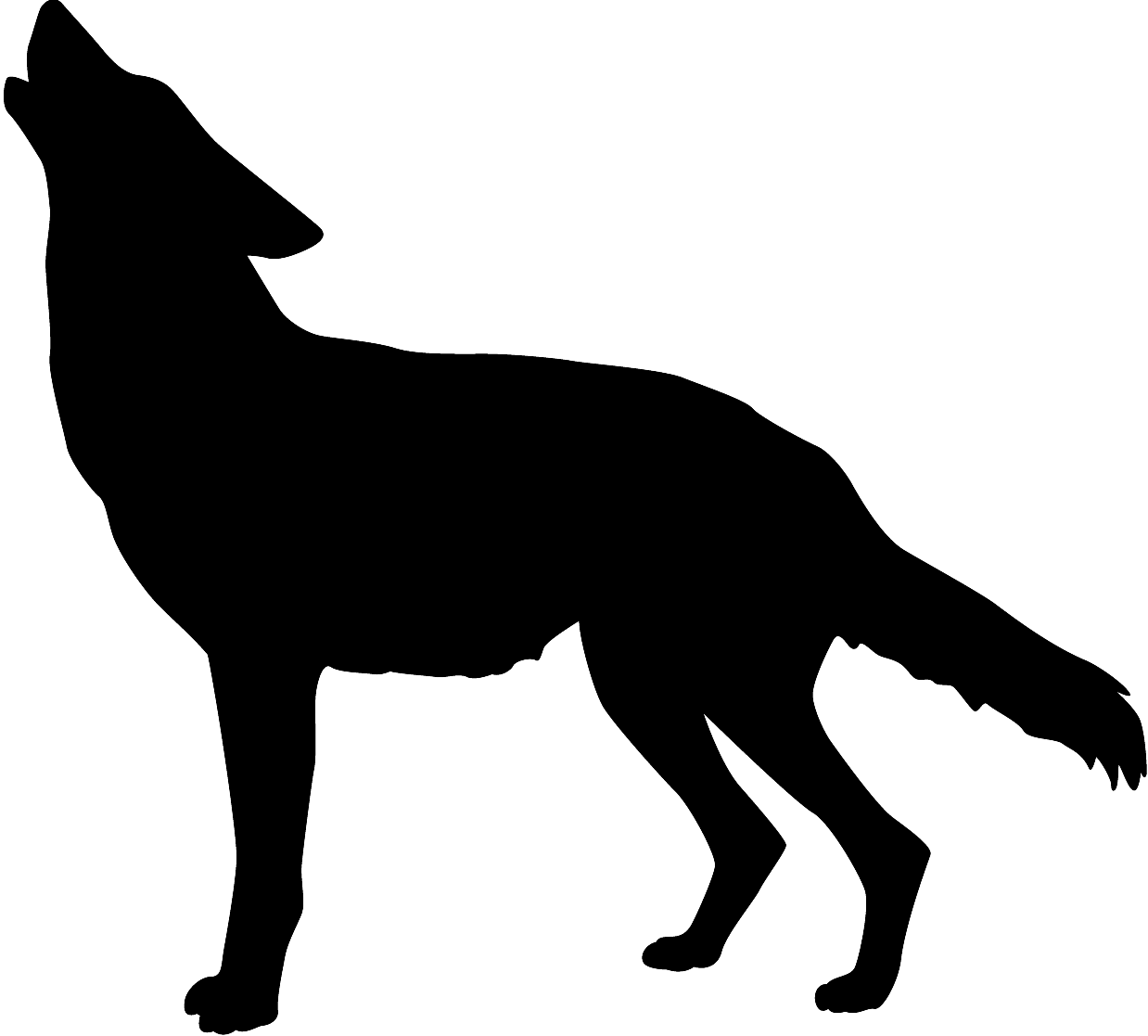 Coyote Baying At The Moon Silhouette Image