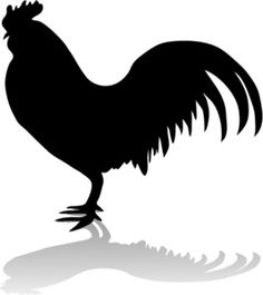 Black chicken clipart