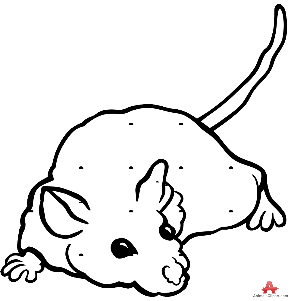 Free Mouse Outline Cliparts Download Free Clip Art Free