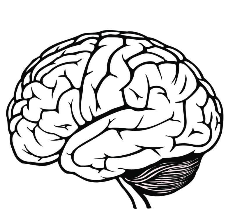 Free Brain Drawing Cliparts, Download Free Brain Drawing Cliparts png