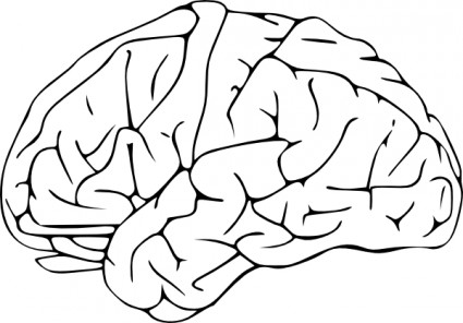 Brain Clipart  Brain Clip Art Image