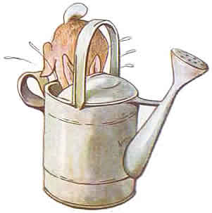 Beatrix potter Clip Art