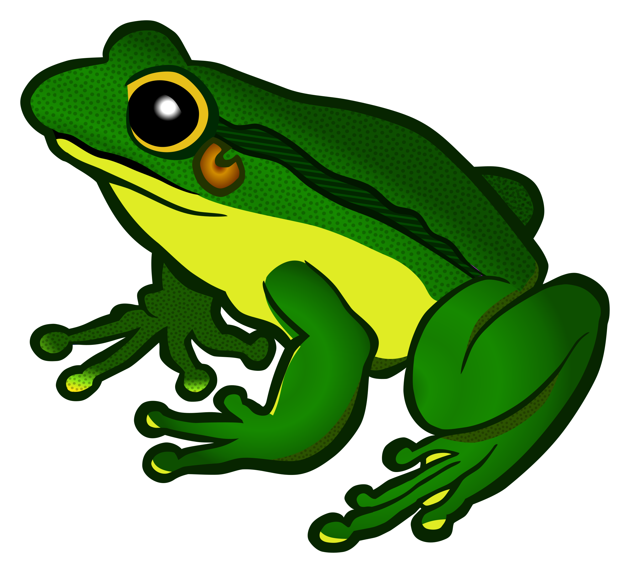 Free Frog Clipart Transparent Download Free Clip Art Free Clip Art On C...