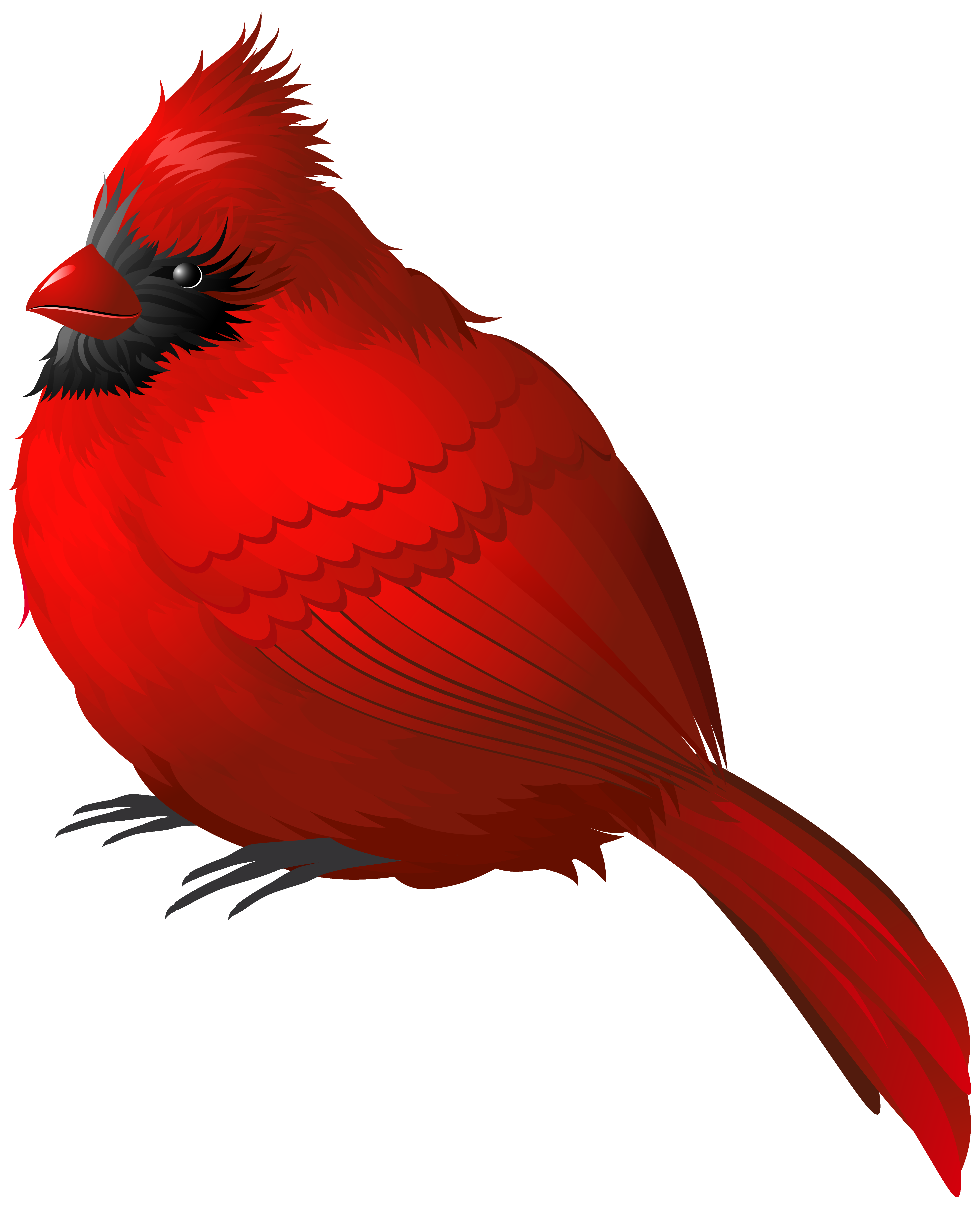 Red Winter Bird PNG Clipart Image