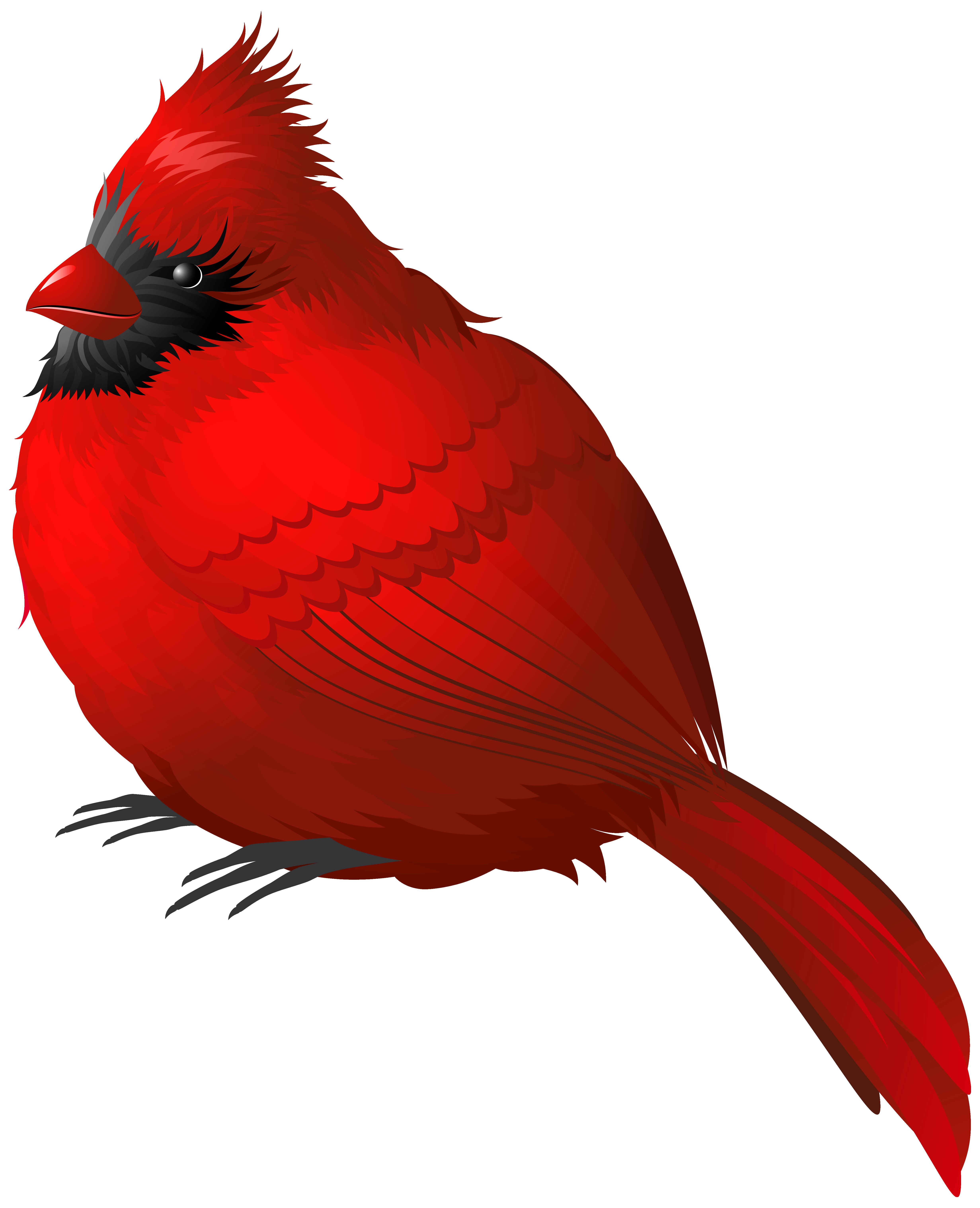 Free Cardinal Bird Png, Download Free Cardinal Bird Png png images