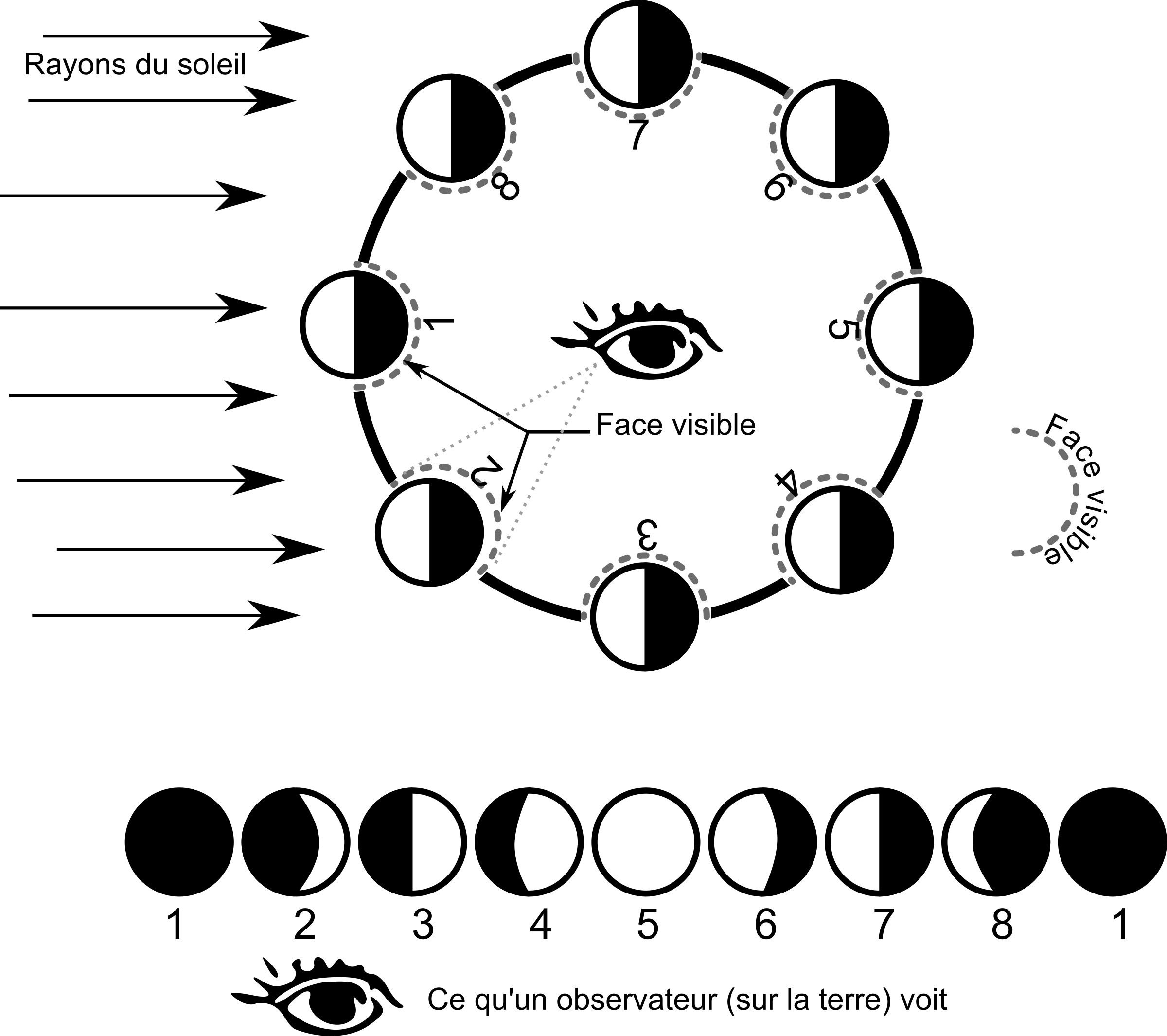 Silver Moon Clipart Lunar Phases Clip Art Celestial Moon Phases Png