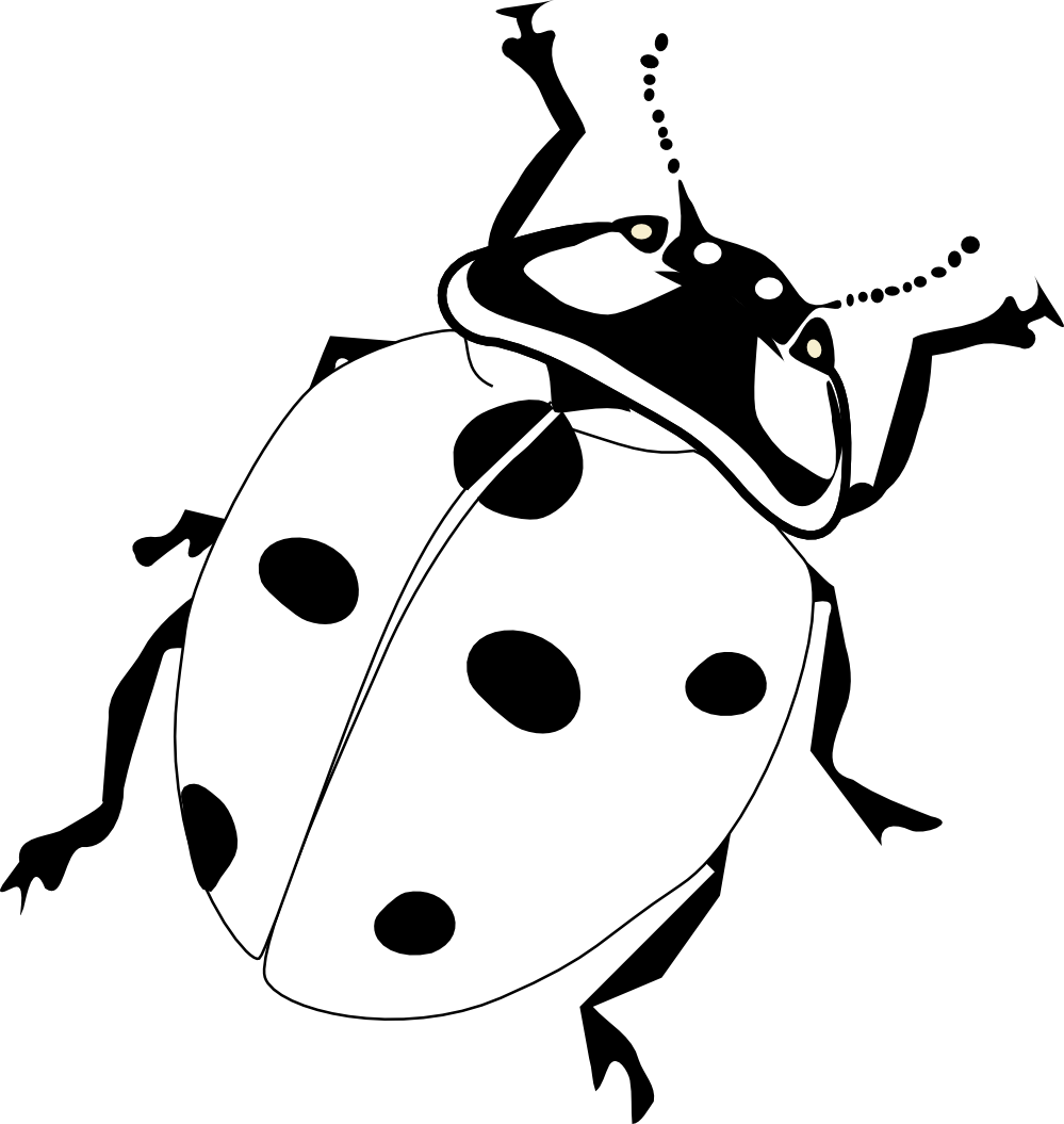 Black and white lady bug clipart 