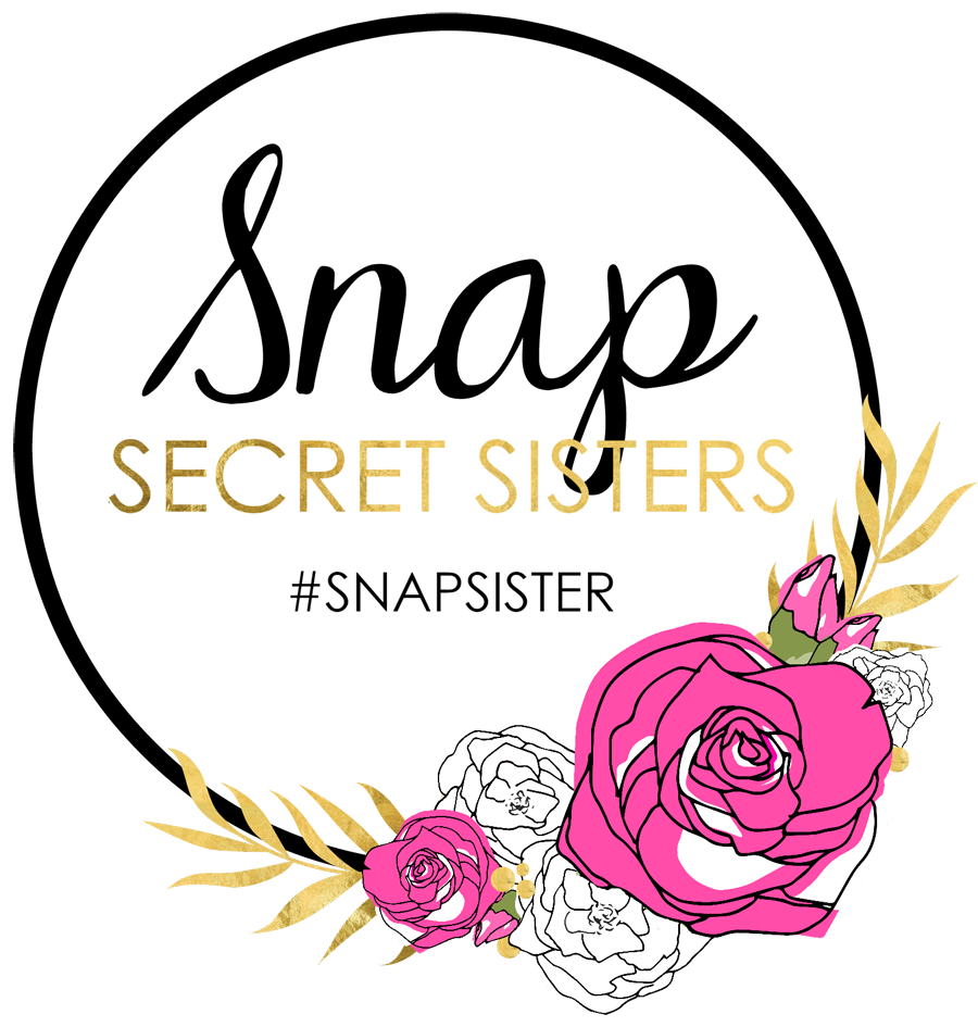 Snap 2015 Secret Sister Program