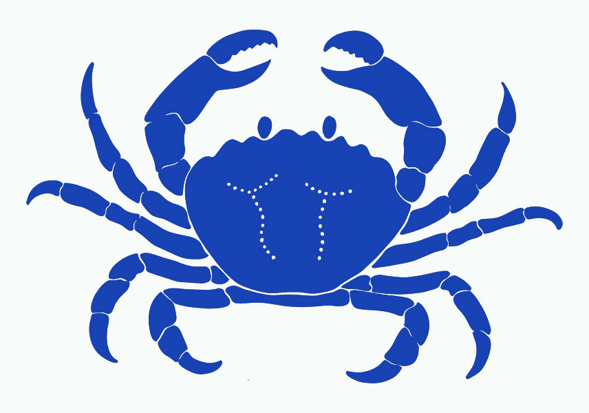 Free Crab Cliparts Outline, Download Free Crab Cliparts Outline png