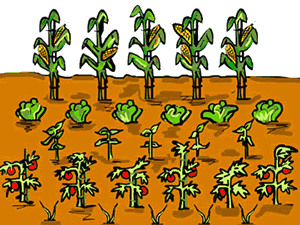 Free Cliparts Garden Soil Download Free Clip Art Free Clip Art On Clipart Library
