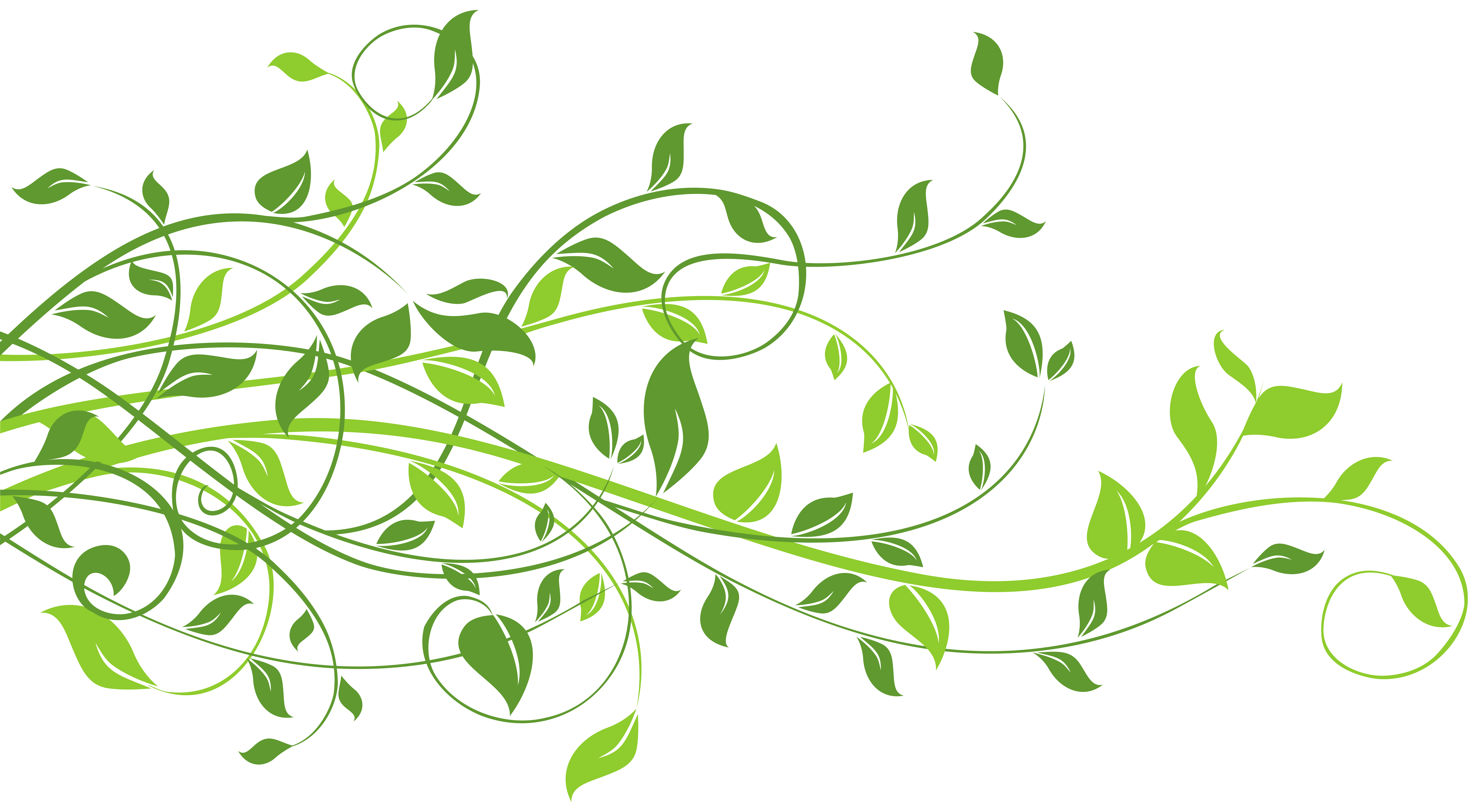 Spring Green Leaves Clip Art – Clipart Free Download
