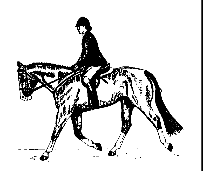 Jumper English Horse Clipart