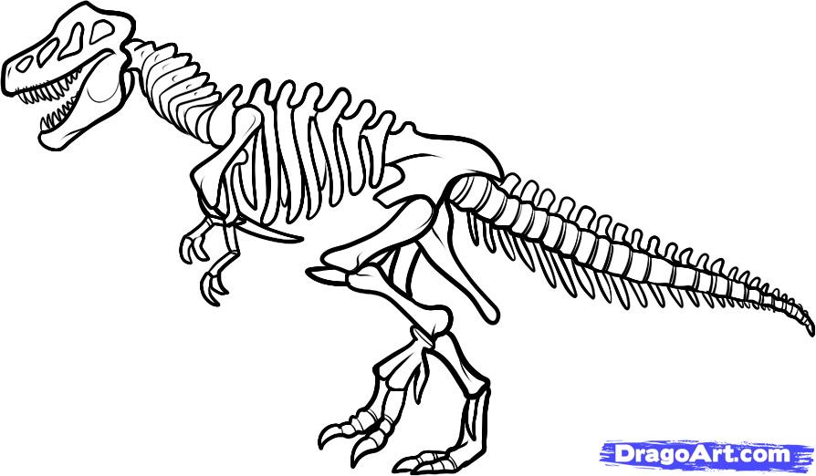 dinosaur bones clip art - Clip Art Library