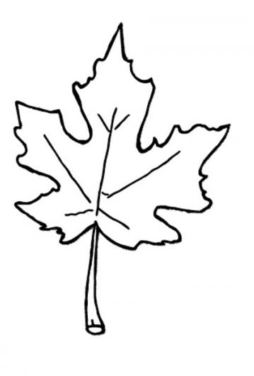 Autumn leaf clipart black and white