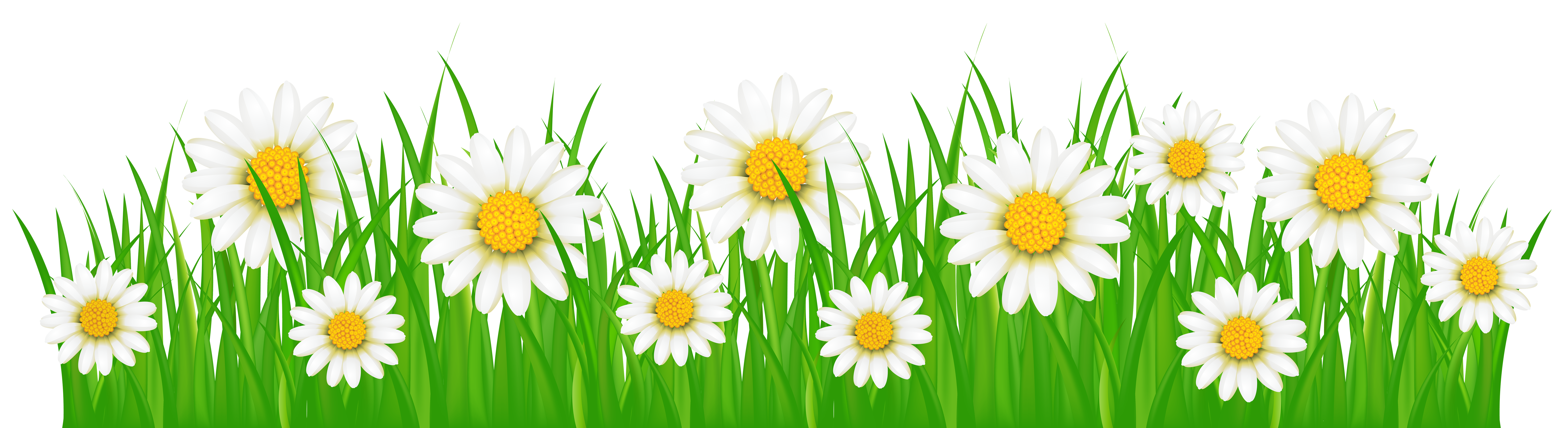 Free Flower Grass Cliparts Download Free Flower Grass Cliparts Png