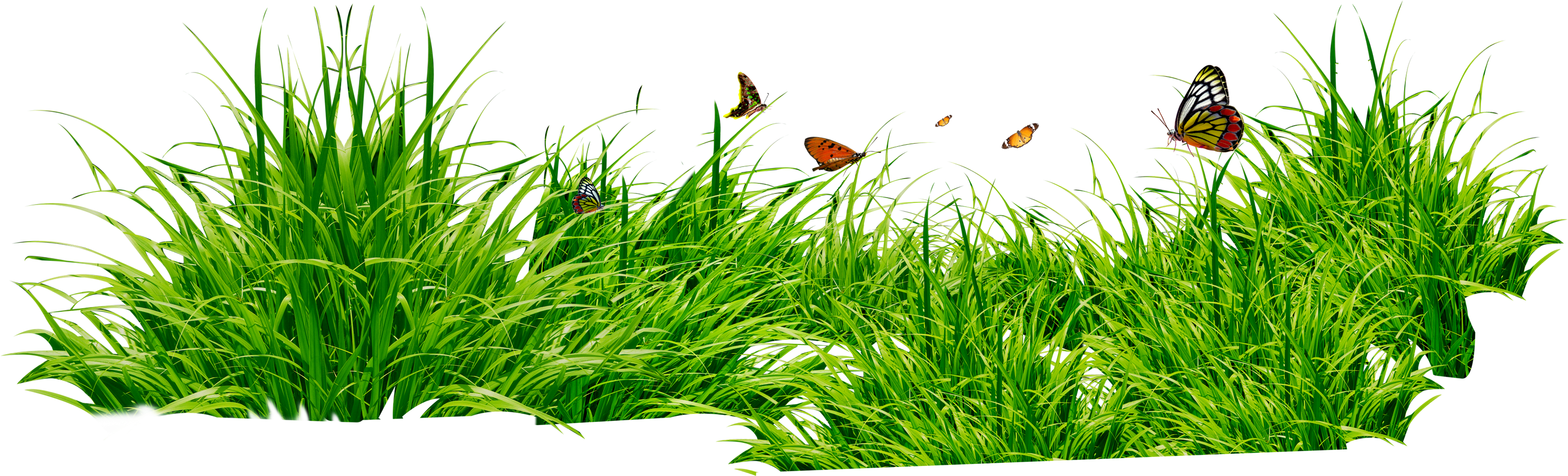Grass With Flowers Clipart Png