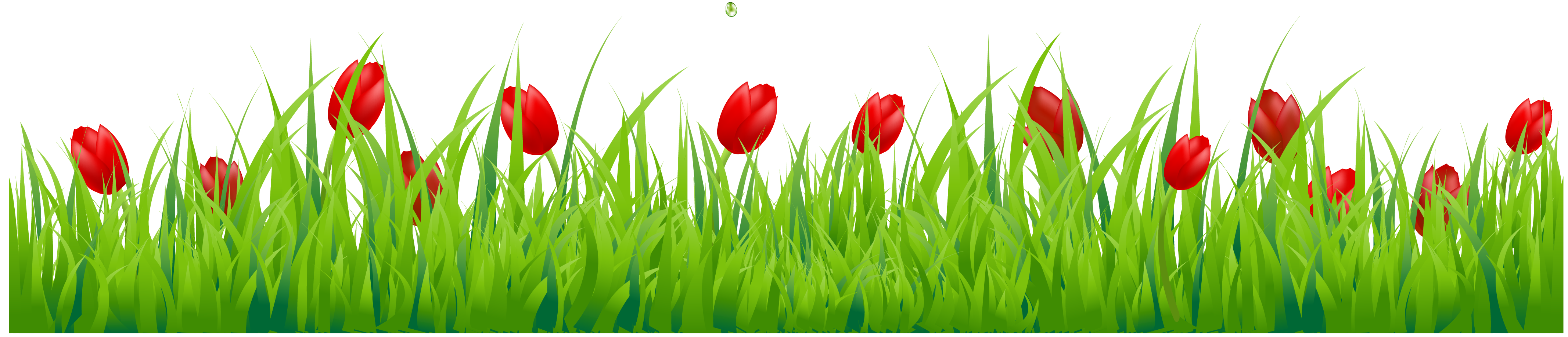 Grass with Red Tulips PNG Clipart