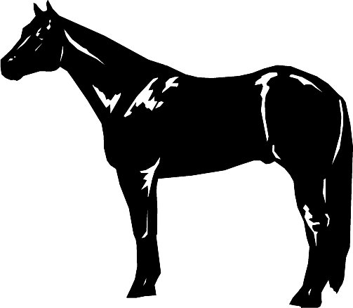 Quarter Horse Clip Art