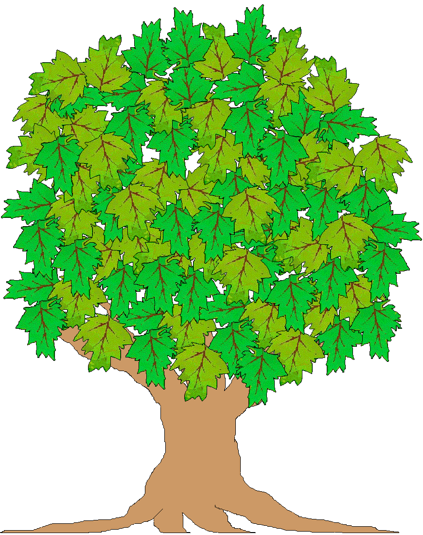 TREE CARTOON PNG