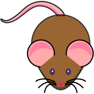Mouse, Mice I