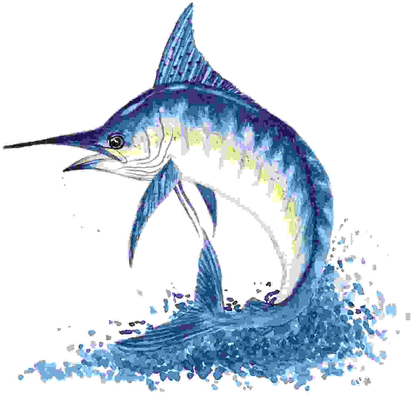 Free Blue Marlin Cliparts, Download Free Blue Marlin Cliparts png