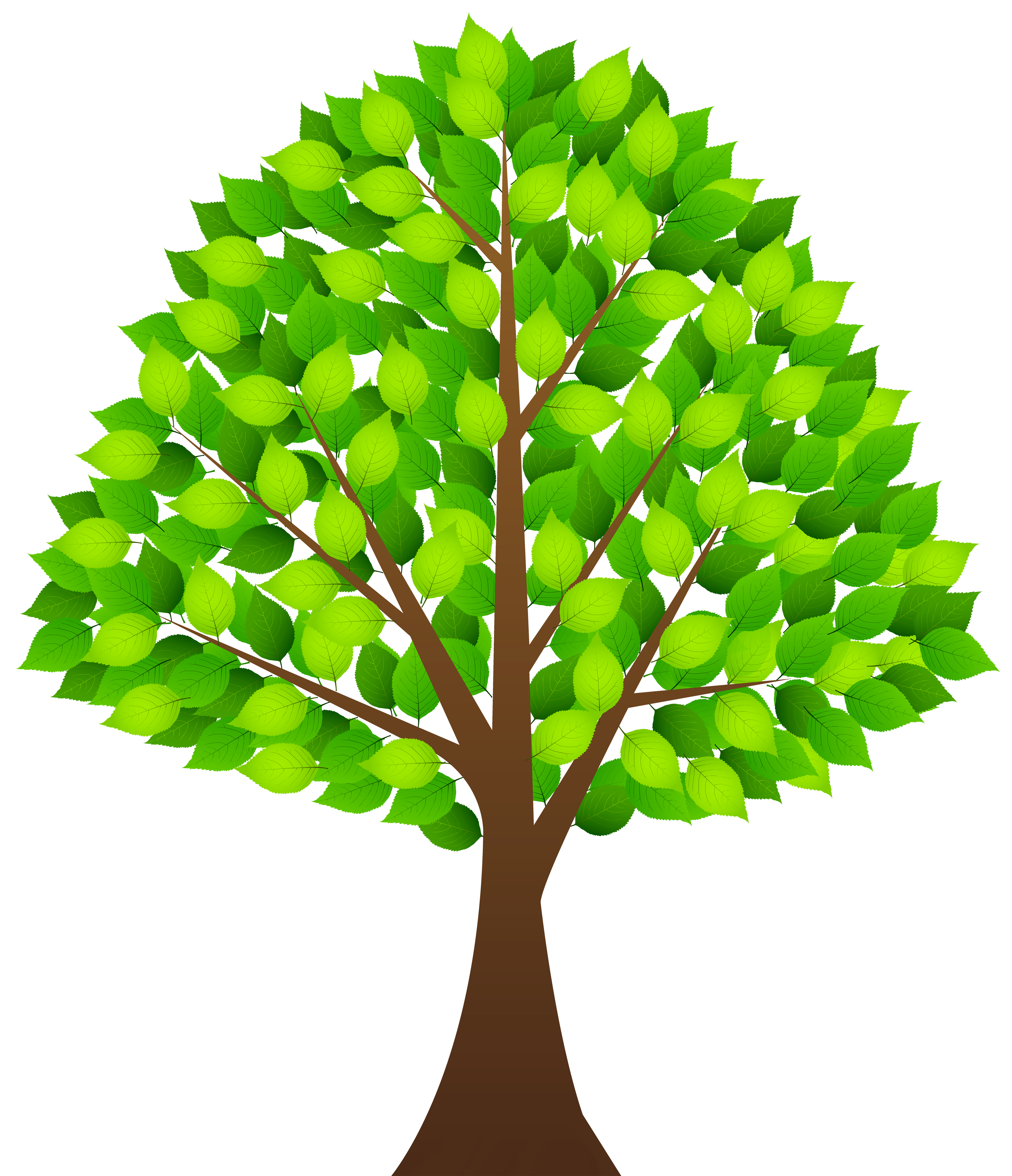 Tree with Green Leaves Transparent PNG Clip Art Image