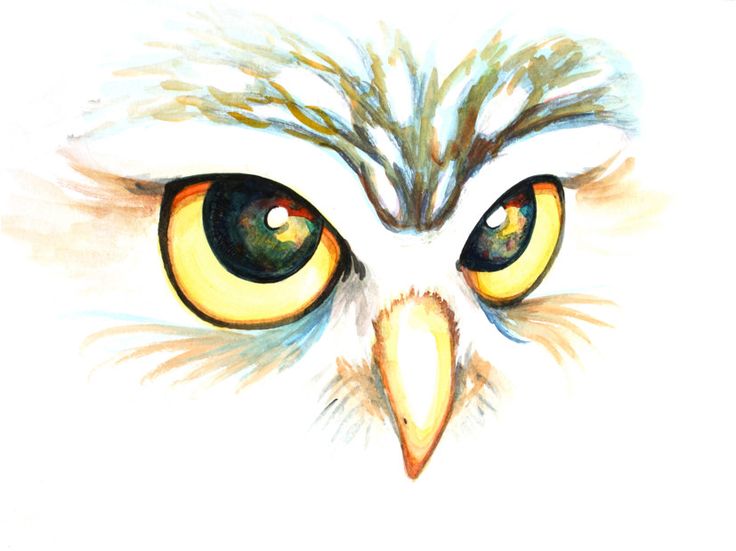 Free Owl Eyes Cliparts, Download Free Owl Eyes Cliparts png images
