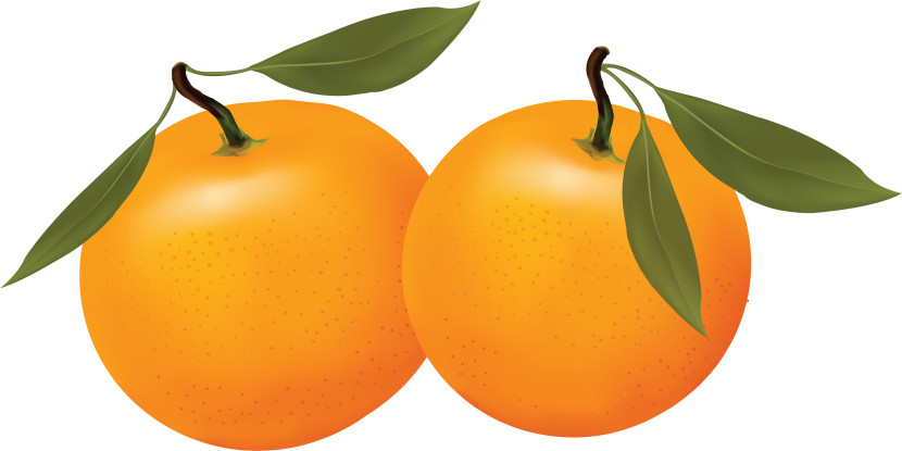 Orange fruit clipart