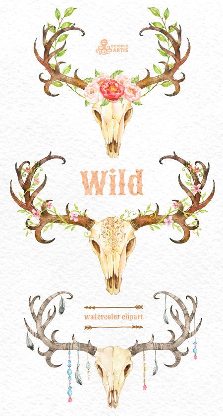 Wild. 3 Watercolor skulls with antlers, hand painted clipart