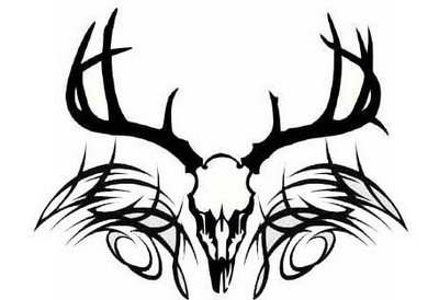 Deer Antlers Drawing